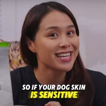 Why Is Your Dog Always Scratching? 🐕 Discover the Allergy-Free Solution