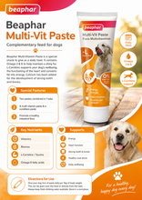 Load image into Gallery viewer, Beaphar Duo Active Paste / Multi Vitamin Paste - Dog