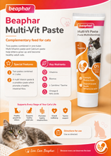 Load image into Gallery viewer, Beaphar Duo Active Paste / Multi Vitamin Paste - Cat