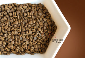 Natural Signature Dog Food - Lamb Flavor