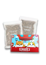 Load image into Gallery viewer, Wealtz Small Package Promotion