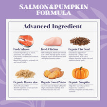 Load image into Gallery viewer, Natural Signature Cat Food - Salmon &amp; Flaxseed