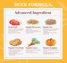 Load image into Gallery viewer, Natural Signature Dog Food Trial Pack - 400g
