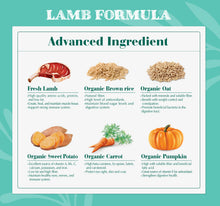 Load image into Gallery viewer, Natural Signature Dog Food Trial Pack - 400g
