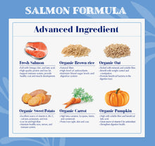 Load image into Gallery viewer, Natural Signature Dog Food - Salmon Flavor