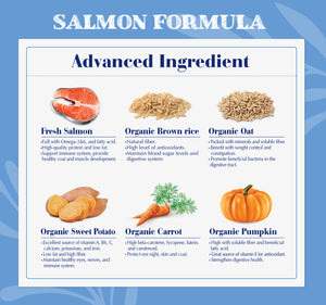 Natural Signature Dog Food - Salmon Flavor