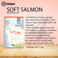 Load image into Gallery viewer, Iskhan Soft Salmon