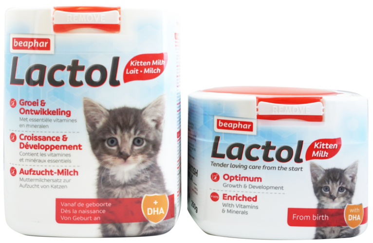 Beaphar lactol for kittens sale