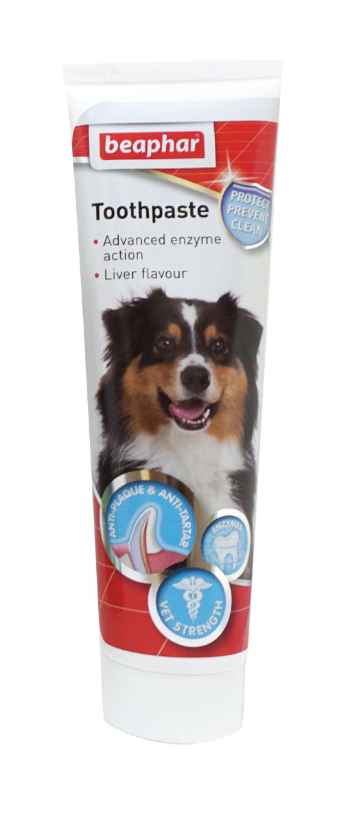 Beaphar Toothpaste (DAD Paste) Pharmvet Official Store