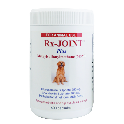 Rx-Joint Plus Methylsufonylmethane (MSM)